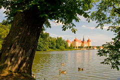 Moritzburg auch für Hochzeiten