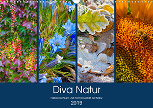 Kalender Diva Natur