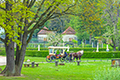 Landkreis Meissen