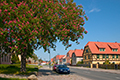 riesa
