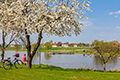 riesa