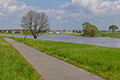 riesa