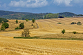 landschaft