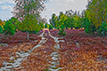 Landschaften